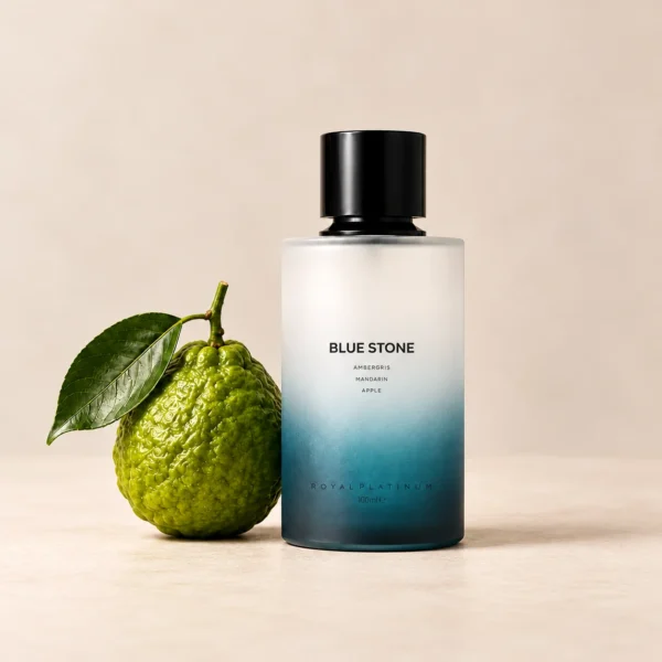 Royal Platinum BLUE STONE вдъхновен от Afnan 9 PM Rebel